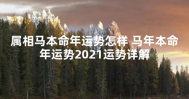 属相马本命年运势怎样 马年本命年运势2021运势详解